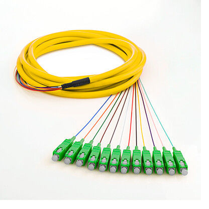 Cáp nhảy SM SM 0.9mm Cáp quang 12 lõi với loại quạt ra, độ ổn định nhiệt độ cao