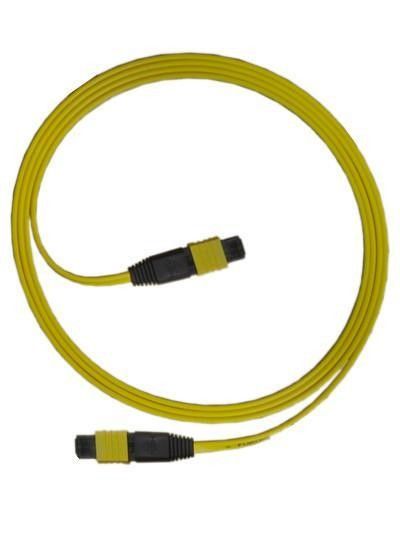 Loại cáp quang SM MTP 24 lõi loại ra cho mạng CATV / máy tính
