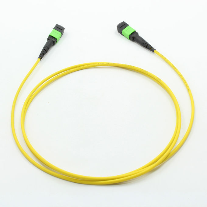 Nam / UPC - Dây nối sợi quang nam / UPC SMF MPO 2 đến 24 lõi IS0 được liệt kê