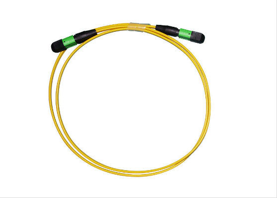 Dây đeo nam / UPC MPO Nhỏ gọn SMF 2 - 24 lõi IS0 / RoHS được liệt kê bền nhà cung cấp